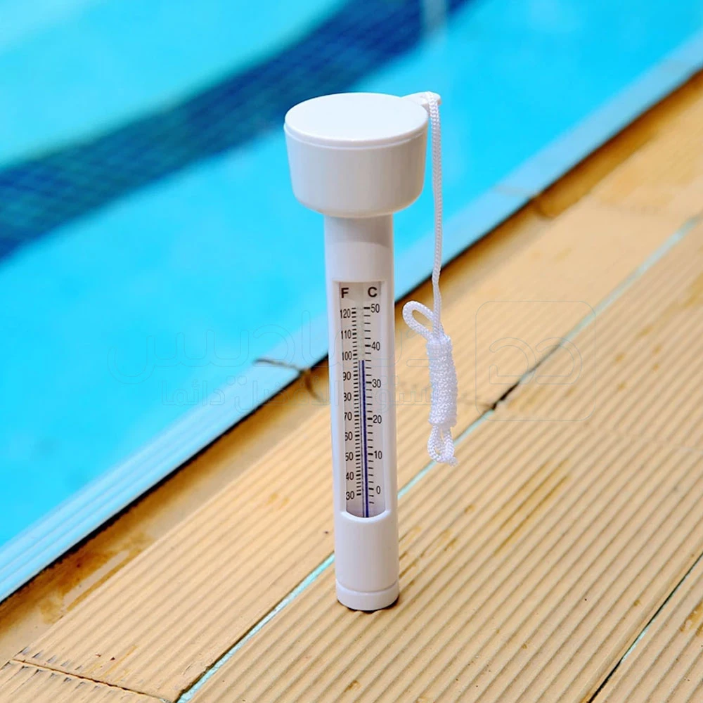 Thermomètre pour piscine INTEX 29039