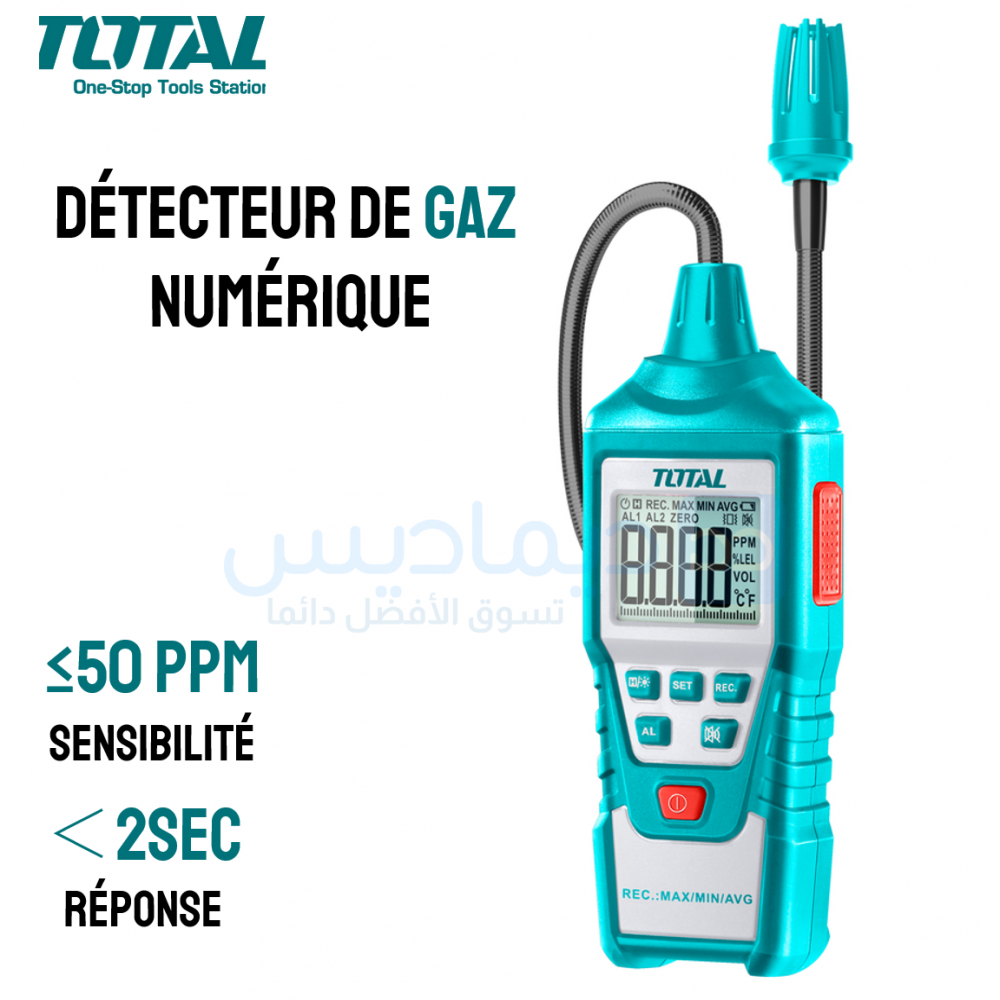 Détecteur dalarme de gaz Tes Trigas pour 12 V
