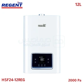 Chauffe-eau à gaz numérique 12 L, 2000 Pa, puissance maximale 24 kW REGENT HSF24-12REG